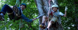 ツリーイングで木登り体験！