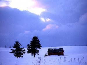 富良野の雪景色